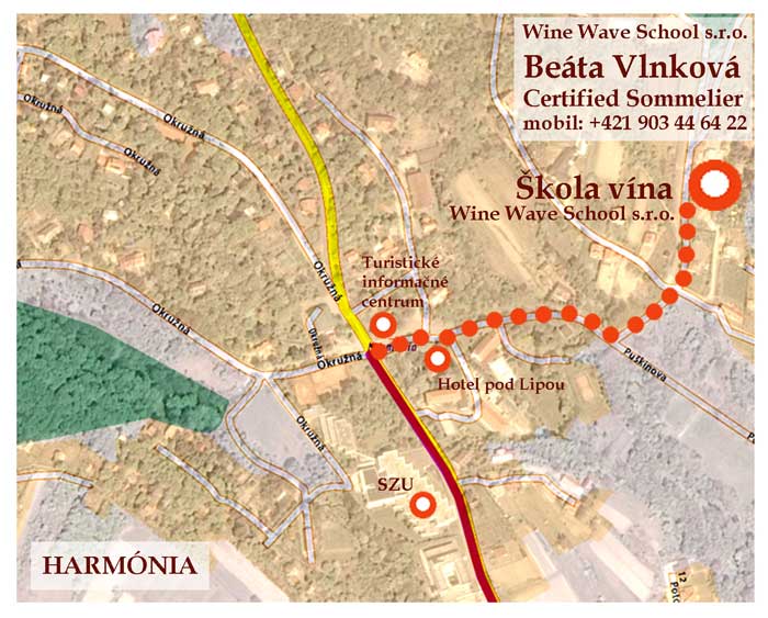 picture Škola vína - lekcia Starý Svet versus Nový Svet
