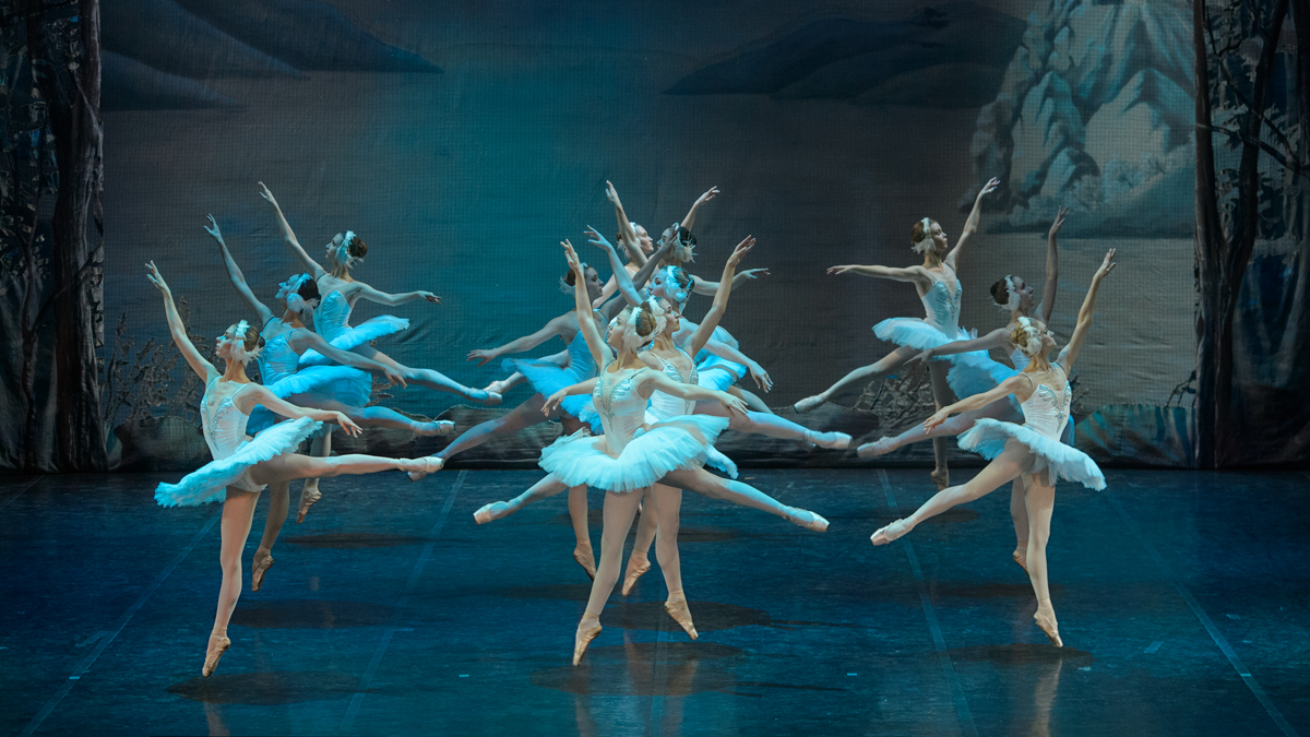 picture St. Petersburg Balet - LABUTIE JAZERO