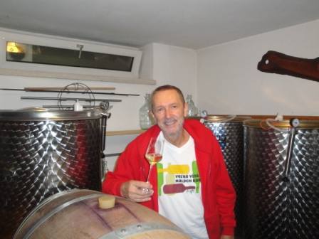 picture po bratislavských vínnych pivniciach