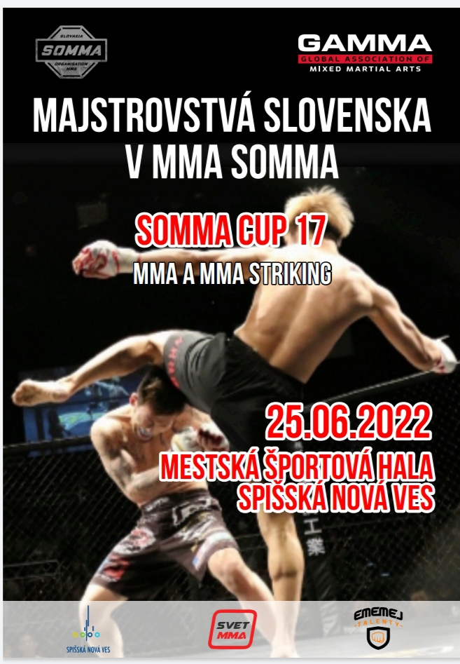 picture Majstrovstvá Slovenska MMA SOMMA