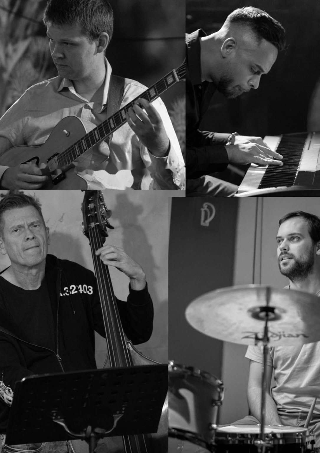 picture Peter Palaj Kvartet