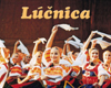 Umelecký súbor LÚČNICA - Reprezentačný program