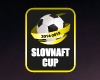 Finále Slovnaft Cup-u 2014/2015