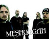 MESHUGGAH (swe)