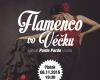FLAMENCO KONCERT - PONTE PARDO