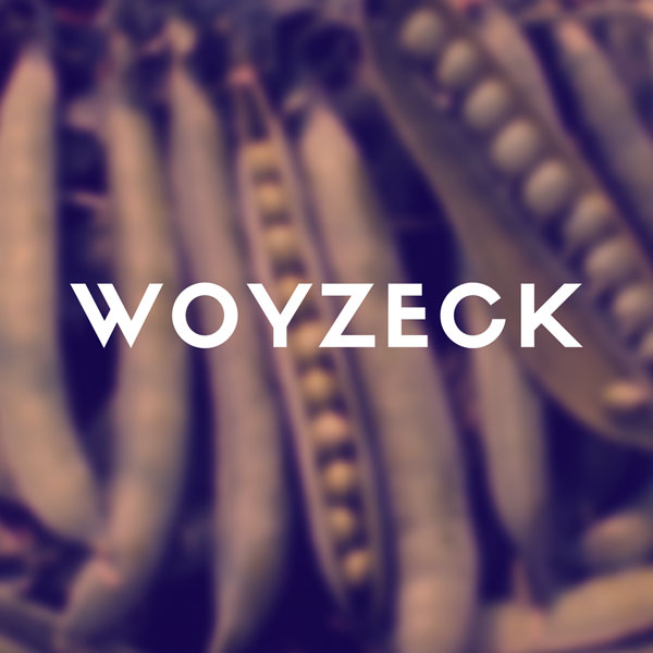Kolektív / Büchner : Woyzeck